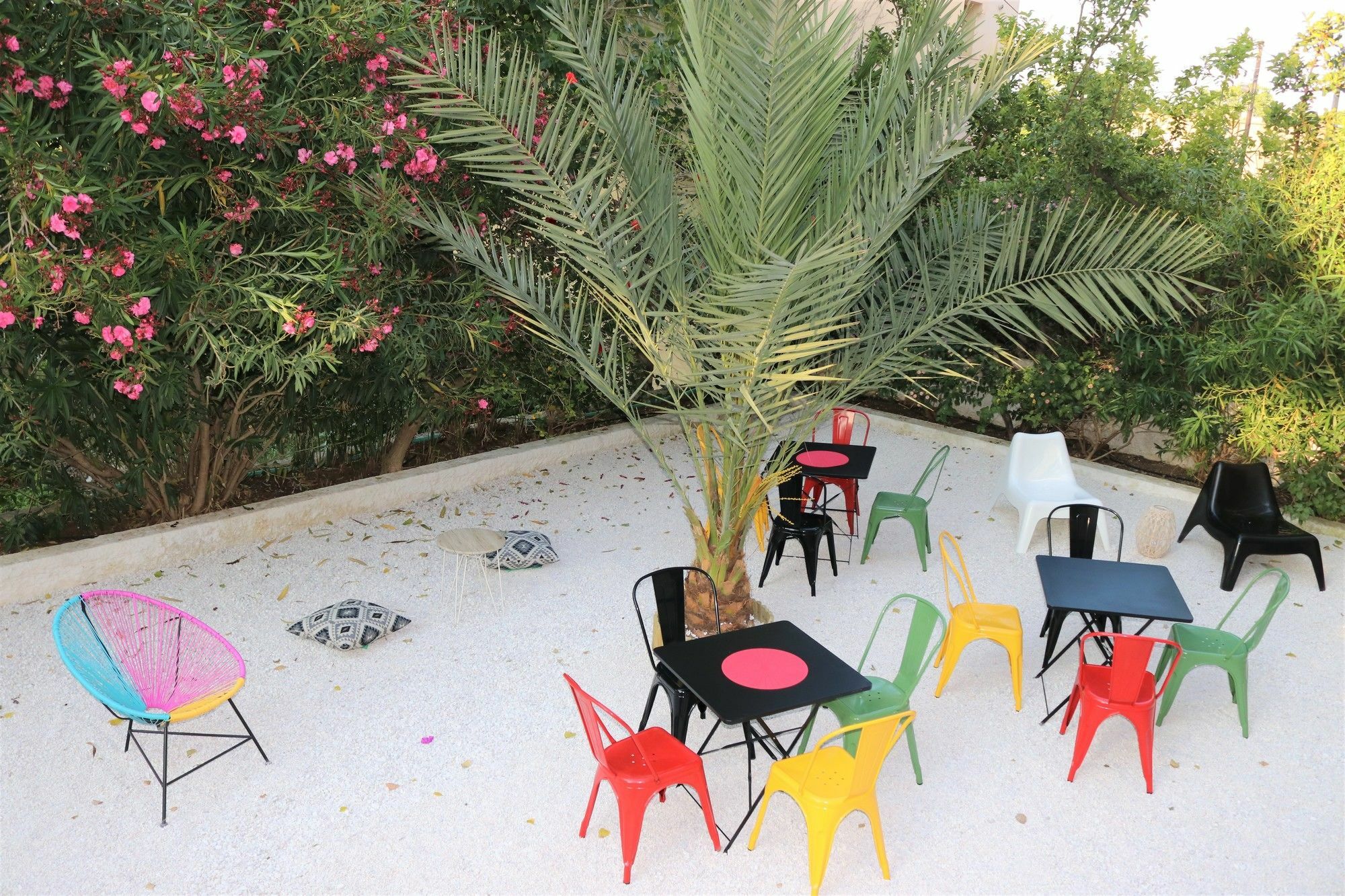 The Bongos - Socially Conscious Rooms, Part Of The Room Rate Goes To Charity Platanés Kültér fotó